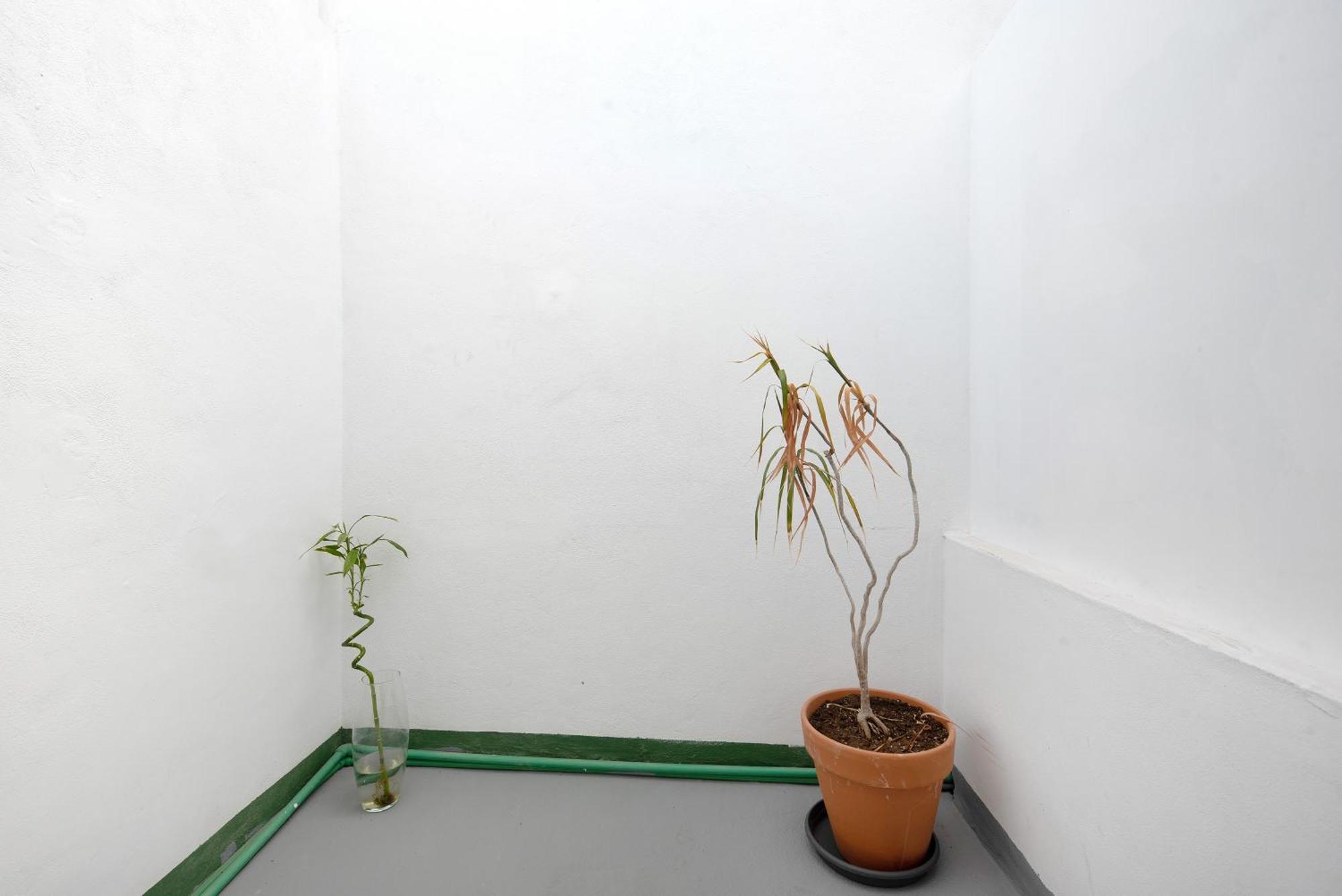 Apartamento Vista La Orotava Εξωτερικό φωτογραφία